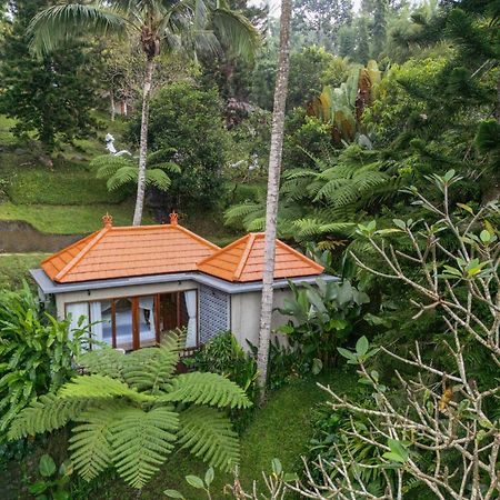 Tjendana Kanaka Jungle Resort Ubud Εξωτερικό φωτογραφία